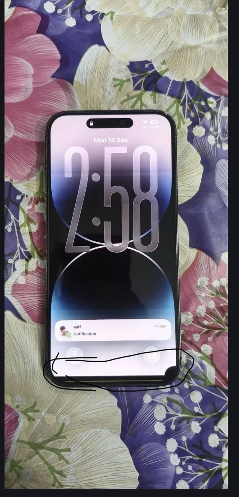 Apple iPhone 14 Pro Max 1