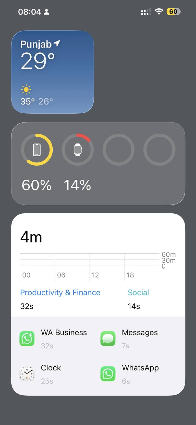 Apple iPhone 13 Pro Max 9