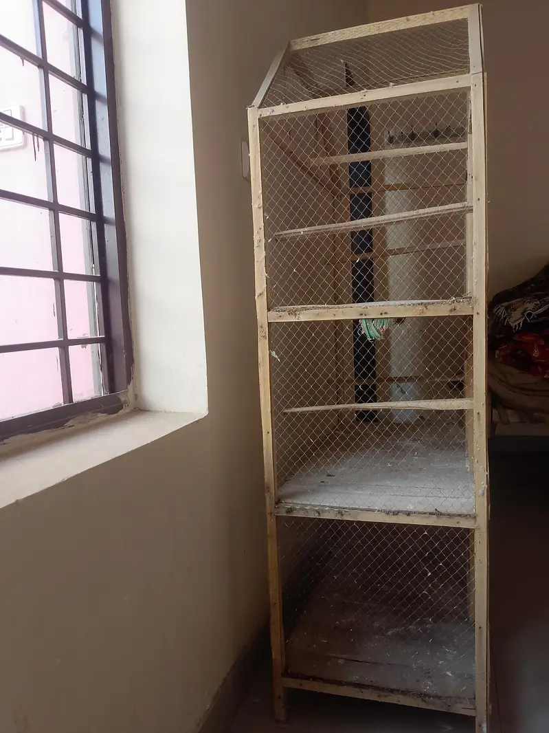 Cage for Birds — photo 2