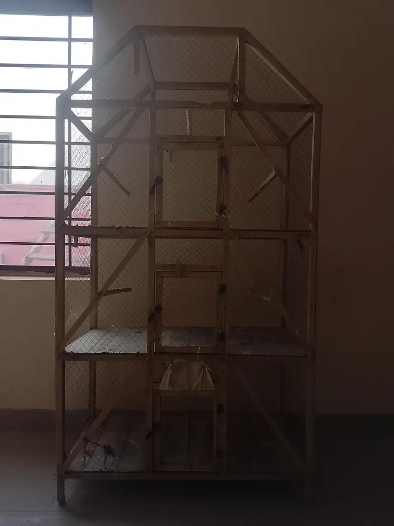 Cage for Birds — photo 4