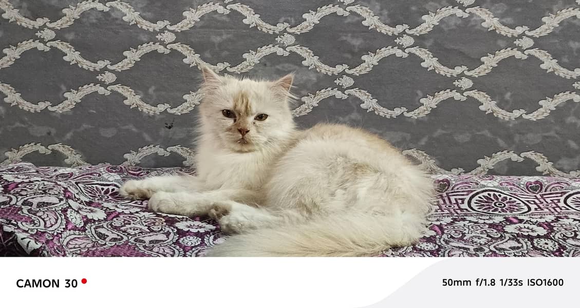 undefined 0