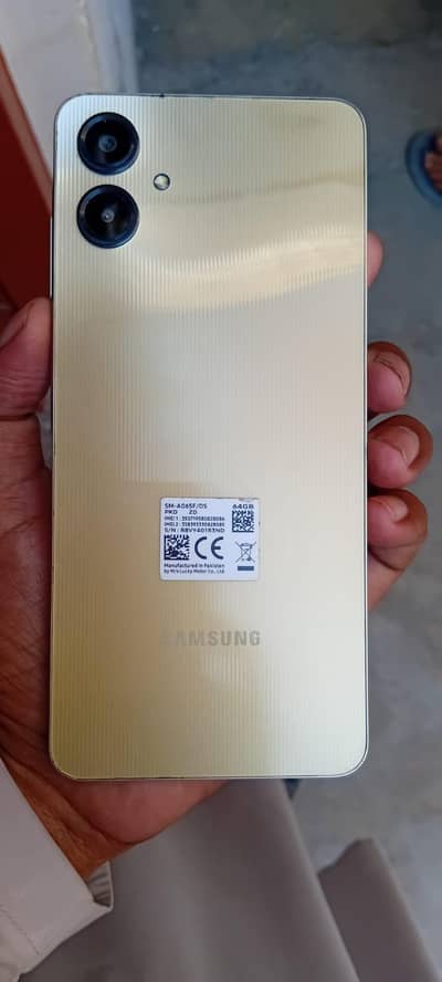 Samsung Mobile A06