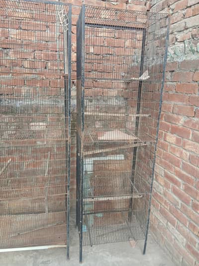 bird cage