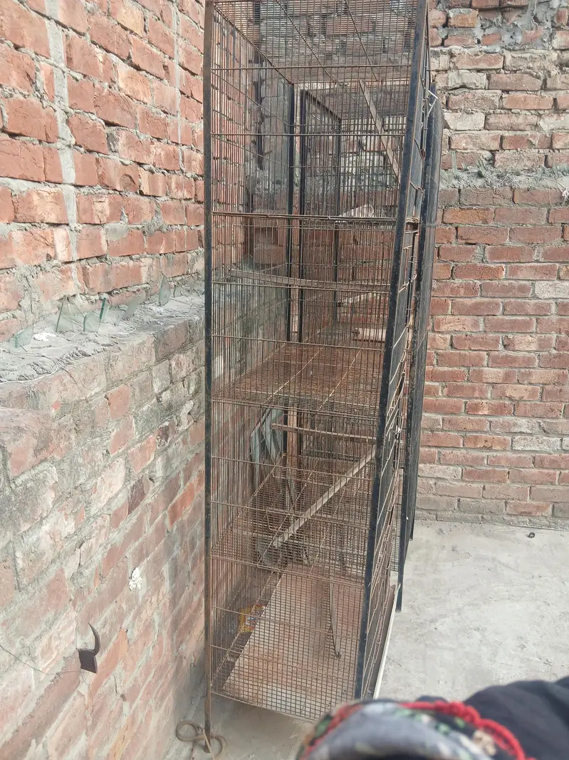 bird cage — photo 2