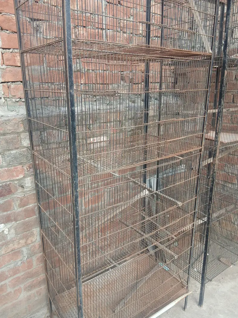 bird cage — photo 3