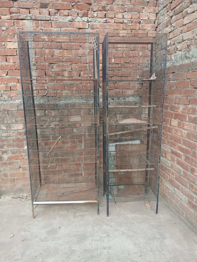bird cage 3