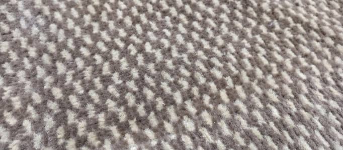 Carpet