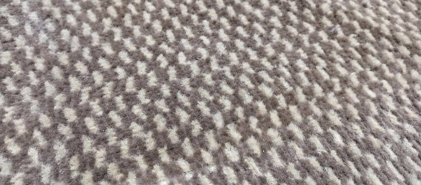 Carpet 0