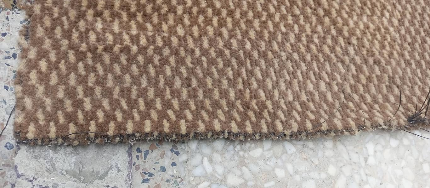 Carpet 1