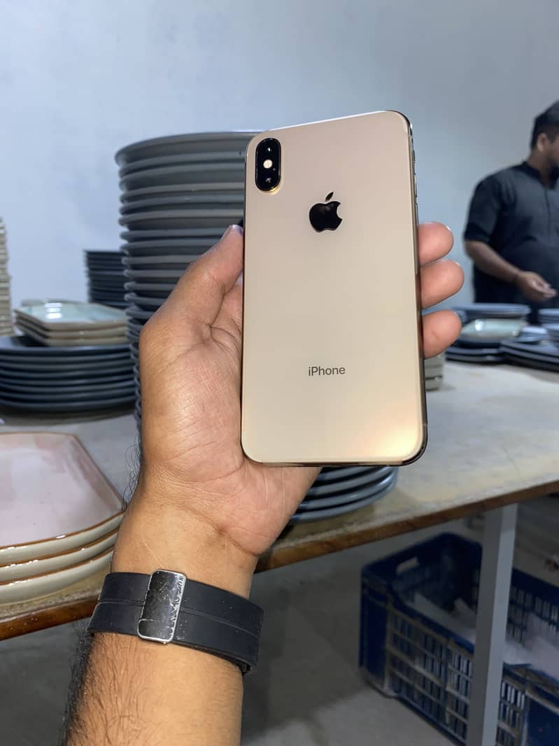 Apple iPhone XS 1