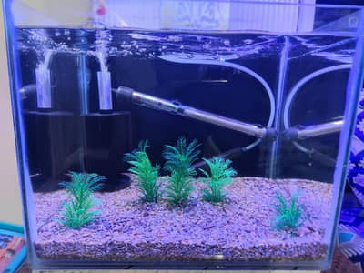 Aquarium
