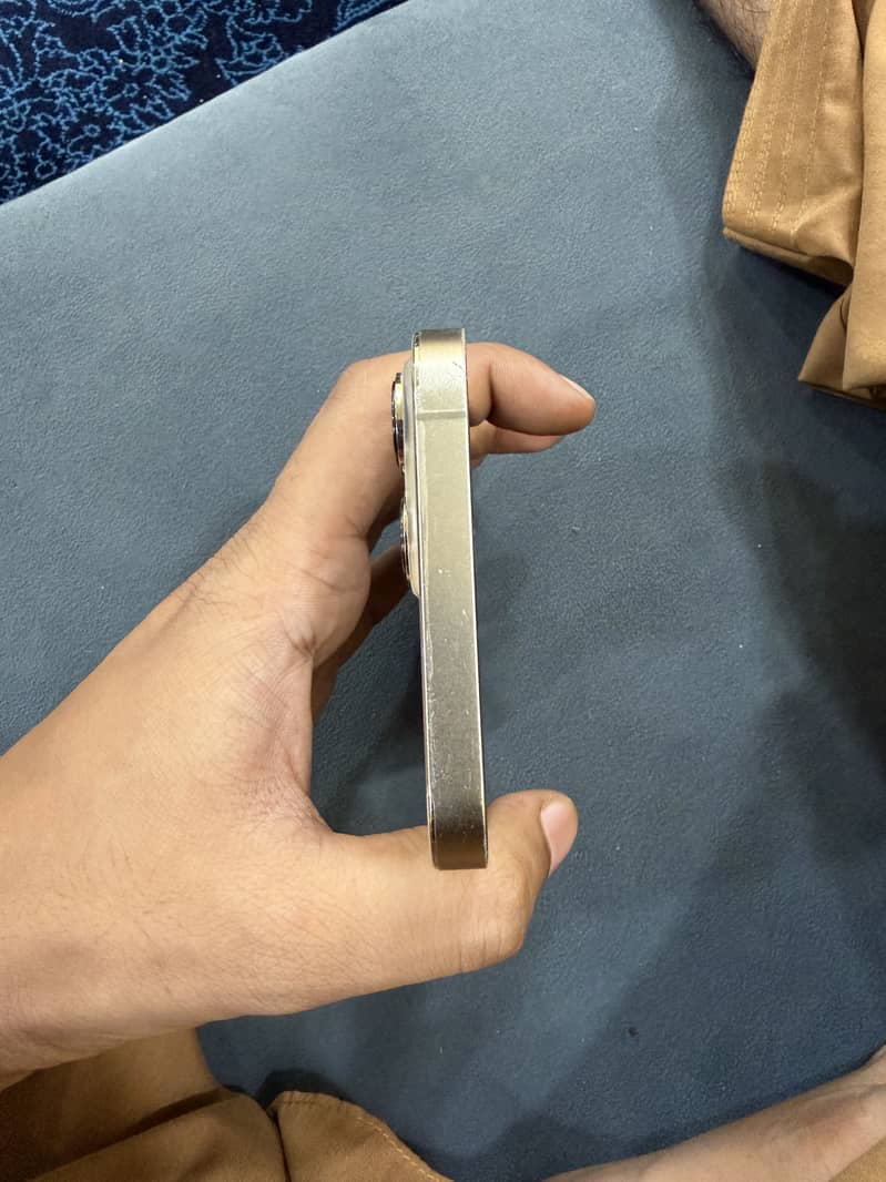 Apple iPhone 13 Pro Max 3