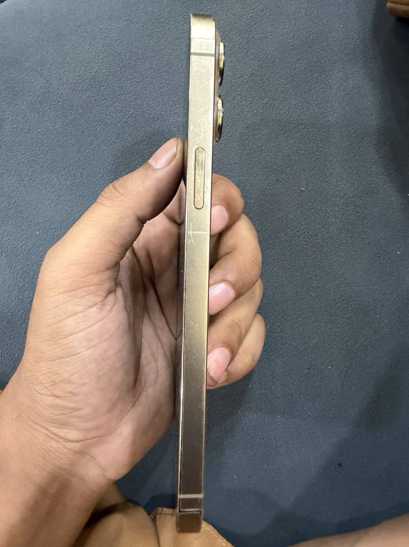 Apple iPhone 13 Pro Max 4