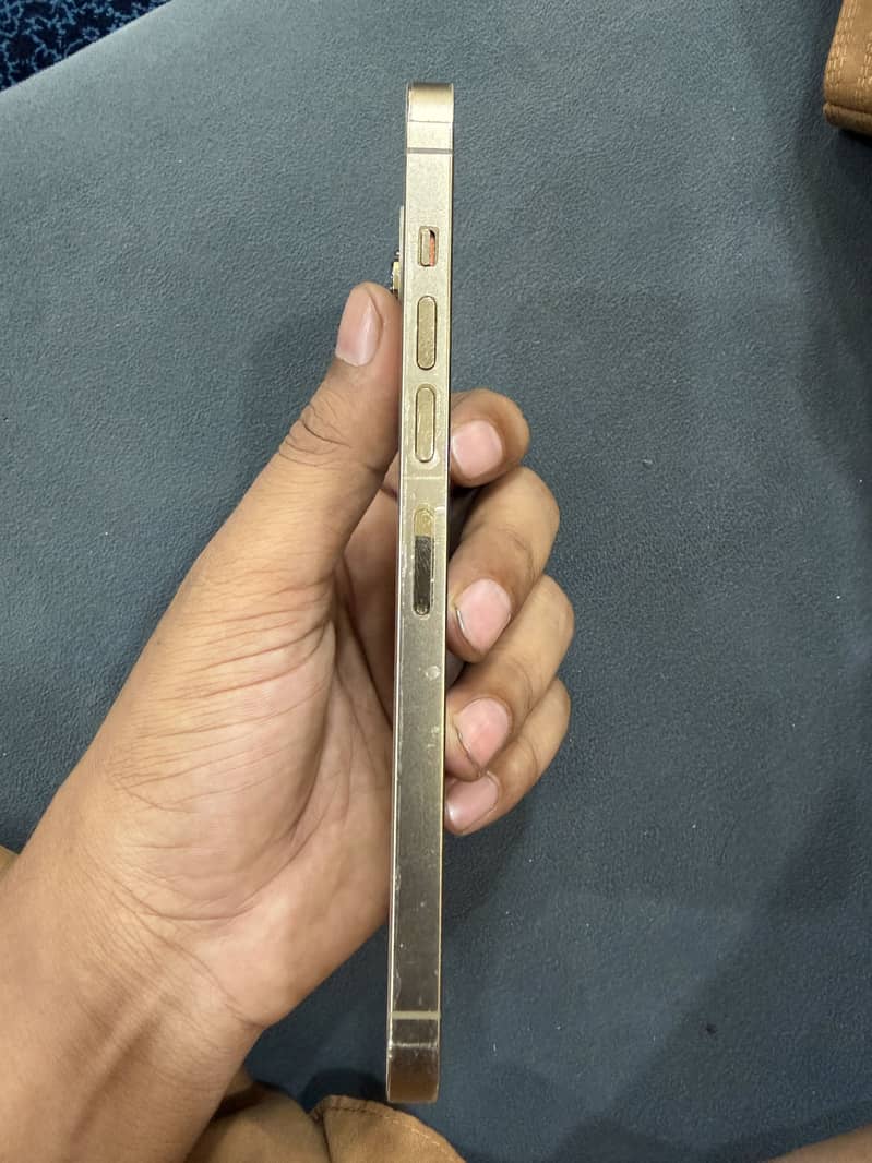 Apple iPhone 13 Pro Max 5