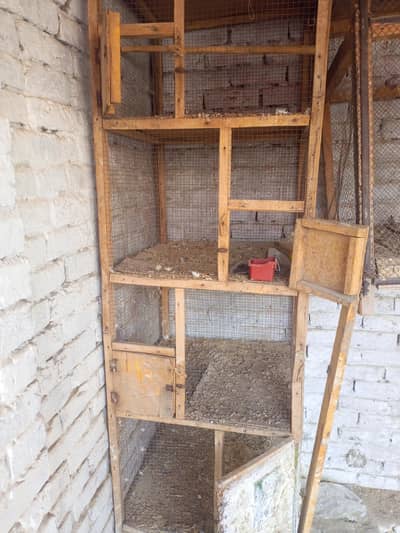 cage frame and plastic cage carrier for cat