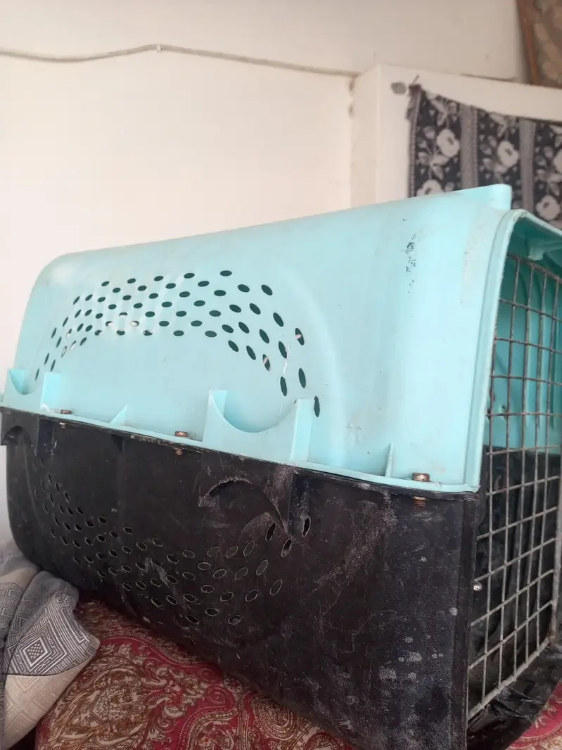 cage frame and plastic cage carrier for cat — photo 3