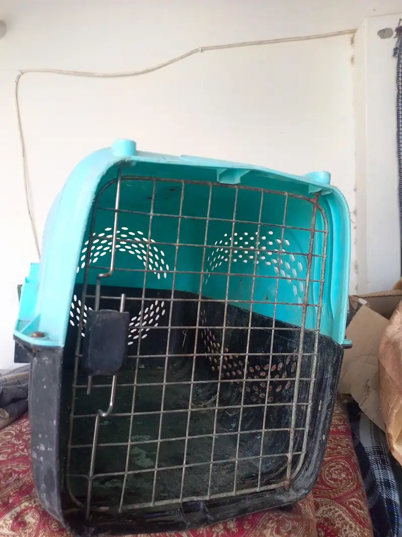 cage frame and plastic cage carrier for cat — photo 4