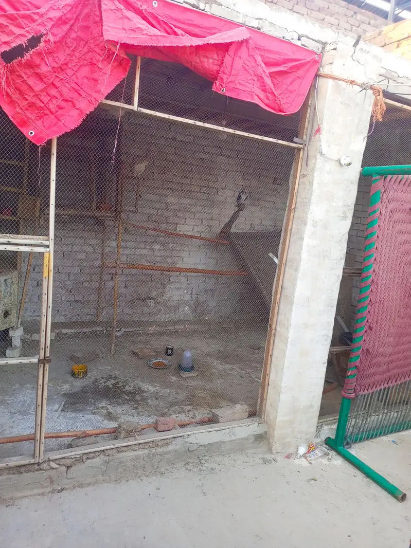 cage frame and plastic cage carrier for cat — photo 6