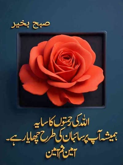 MUHMMAD.ALI PENDOOK
