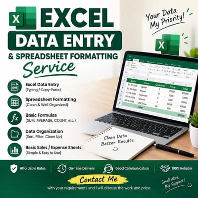 Excel Data Entry & Spreadsheet Formatting Service