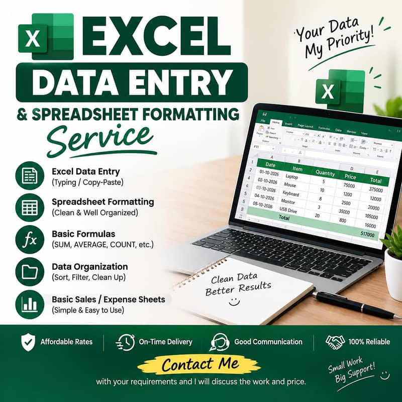 Excel Data Entry & Spreadsheet Formatting Service 0