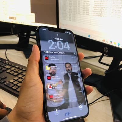 Apple iPhone 12 Pro Max