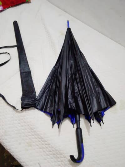 umbrella for sale