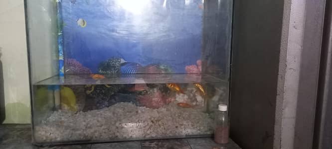Aquarium for sale. . With 3 fishes. . First hand . . . With stones. . for home