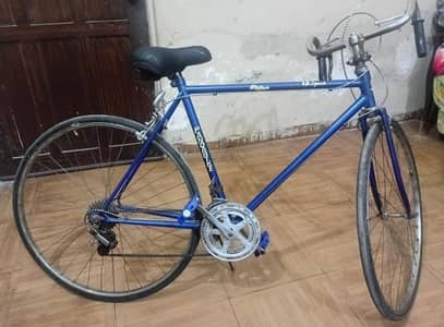 Bicycle Panda road bike made in japan