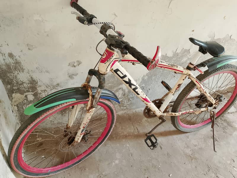 Mountain Cycle Rasi 1