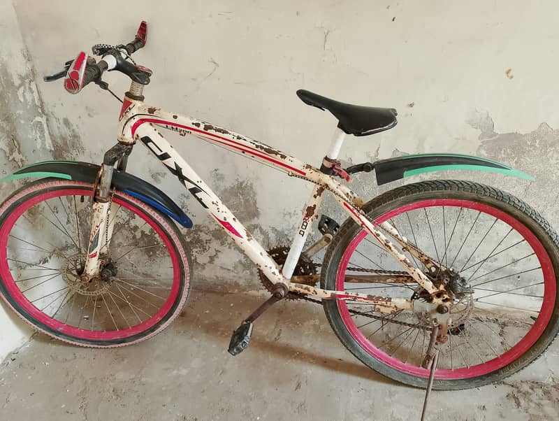 Mountain Cycle Rasi 2