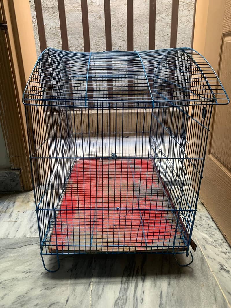 pattots cage 1