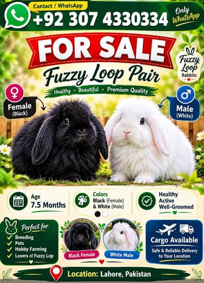fuzzy lop pair