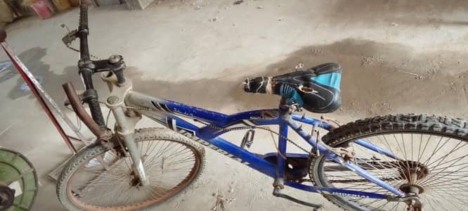 fresh condition