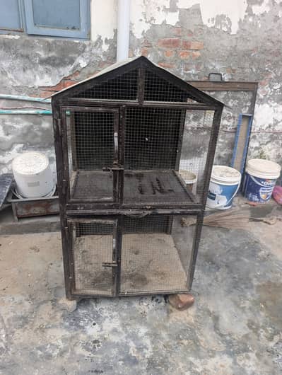 strong iron cage
