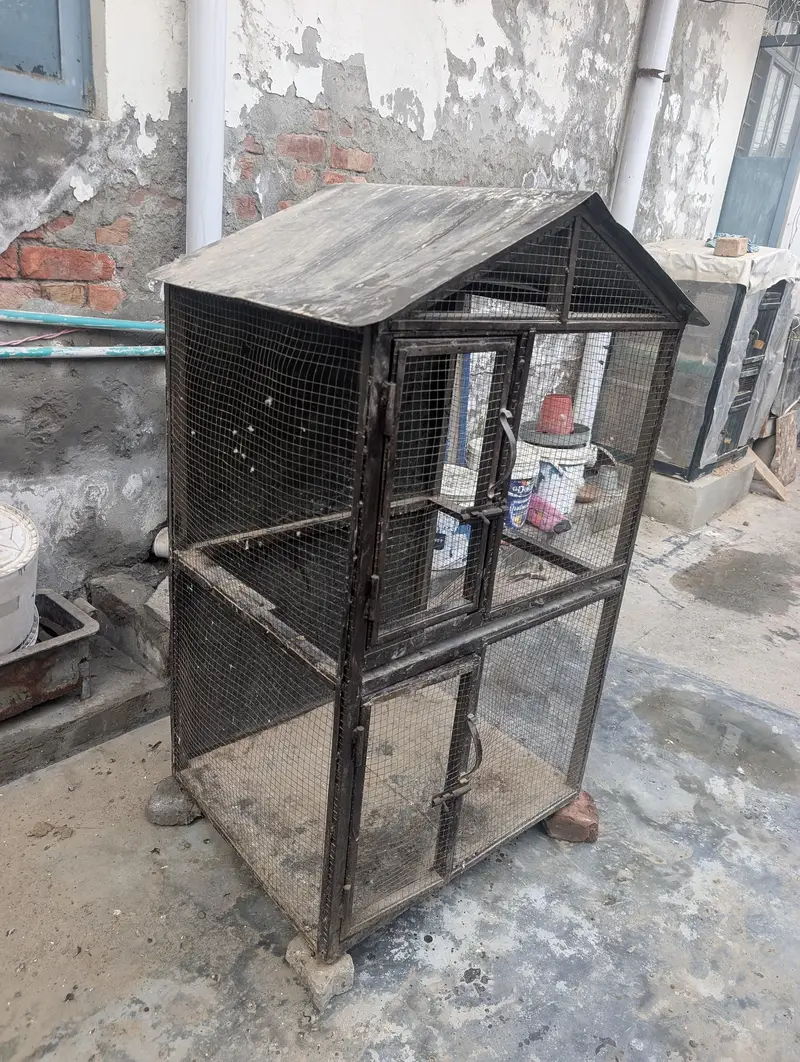 strong iron cage — photo 2