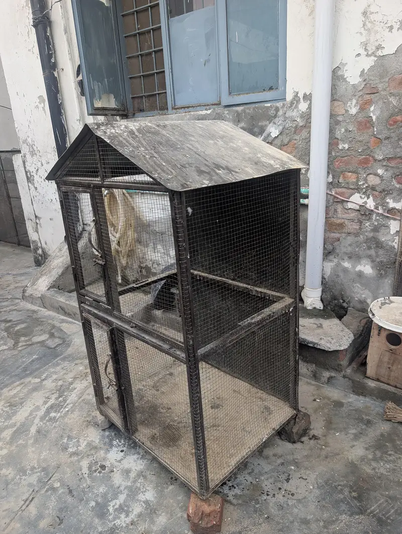 strong iron cage — photo 3