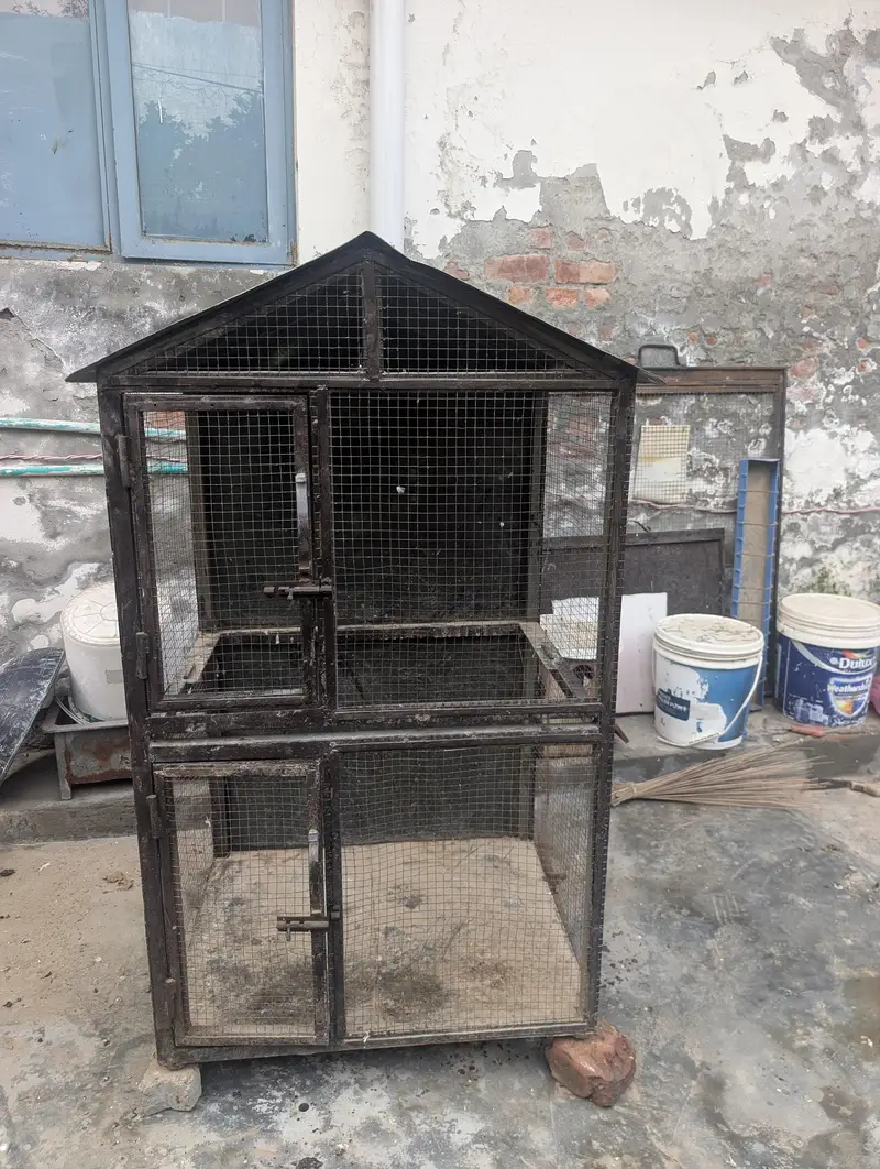 strong iron cage — photo 4