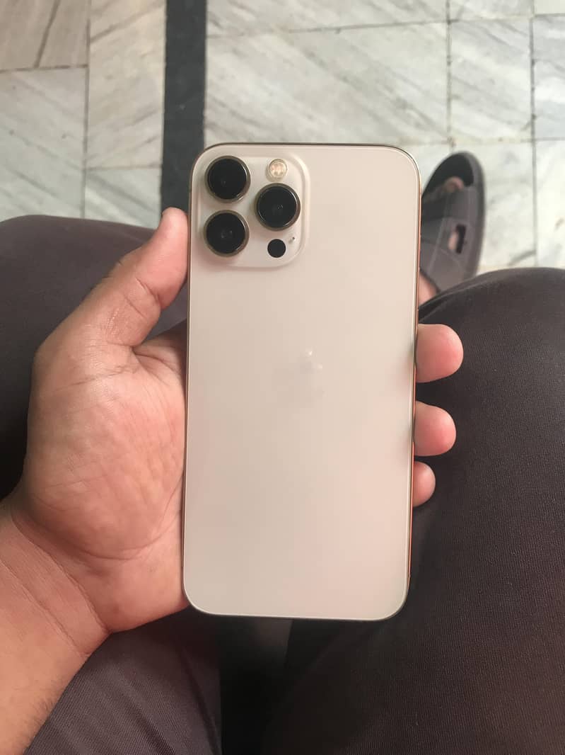 Apple iPhone 13 Pro Max 0