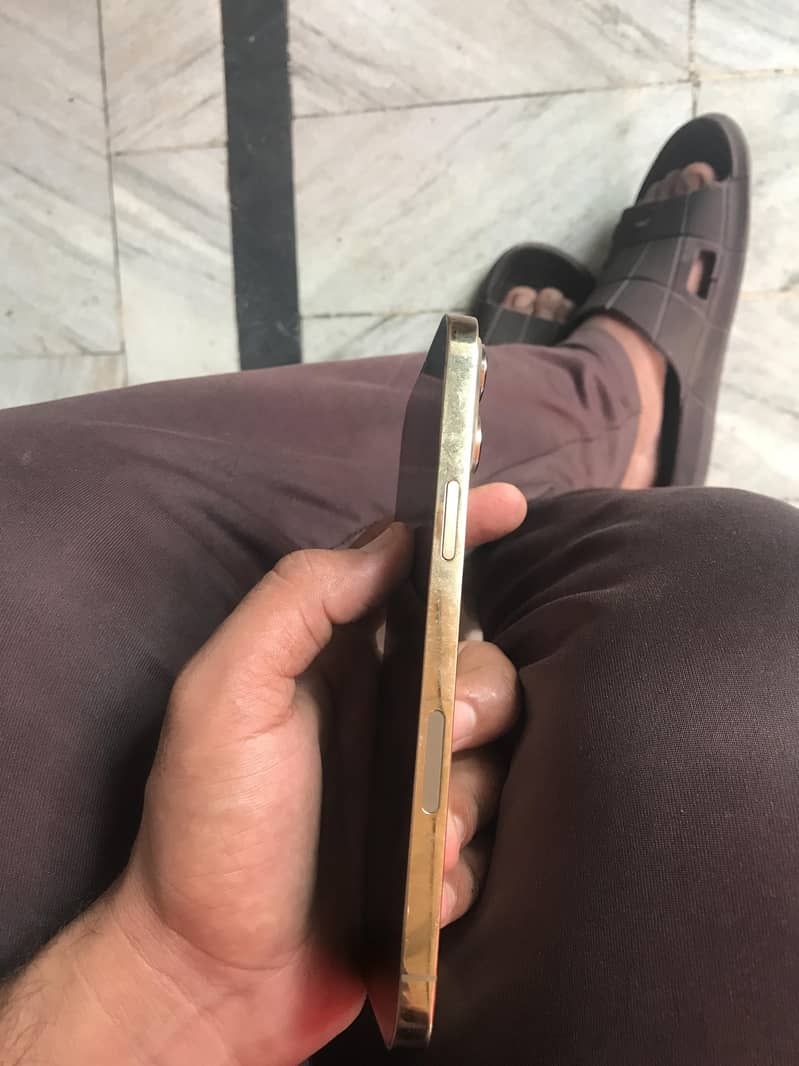 Apple iPhone 13 Pro Max 2