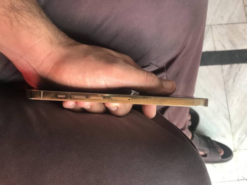 Apple iPhone 13 Pro Max 4