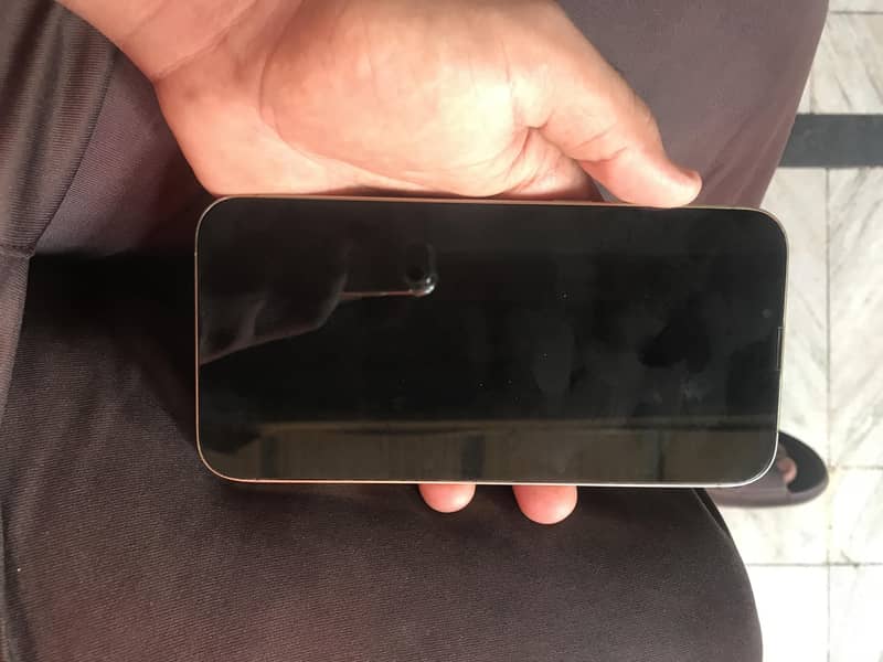 Apple iPhone 13 Pro Max 5