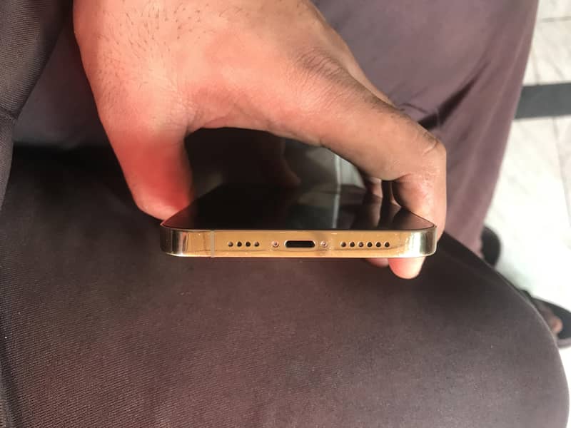 Apple iPhone 13 Pro Max 6