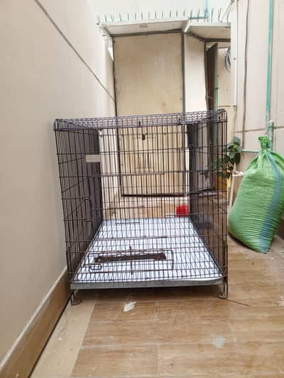 HEAVY DUTY IRON MOTI JAALI WALA BIRDS AND ANIMALS CAGES IN BEST PRIZES
