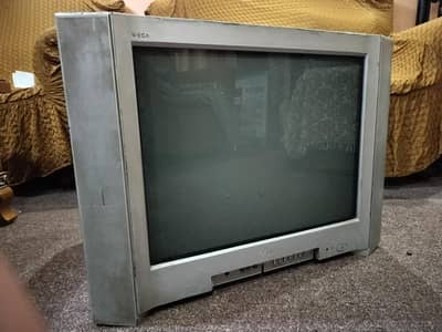 Sony 25 inch flat screen tv with remote