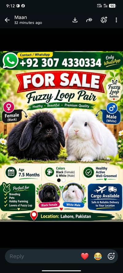fuxzyloop adult pair for sale