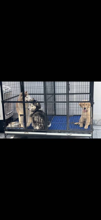 folding cage for dogs