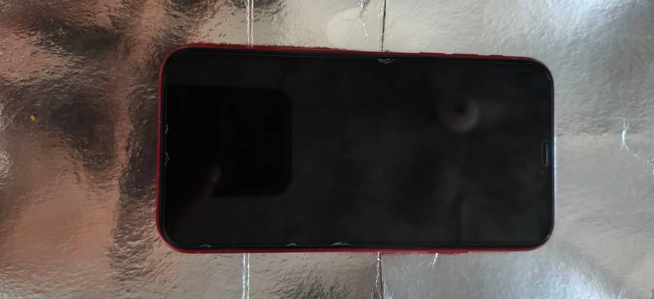iPhone 11 0