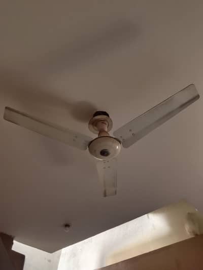 2 ceiling fan 03064328164+03464668249