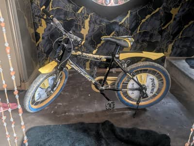 Bicycle for Sell